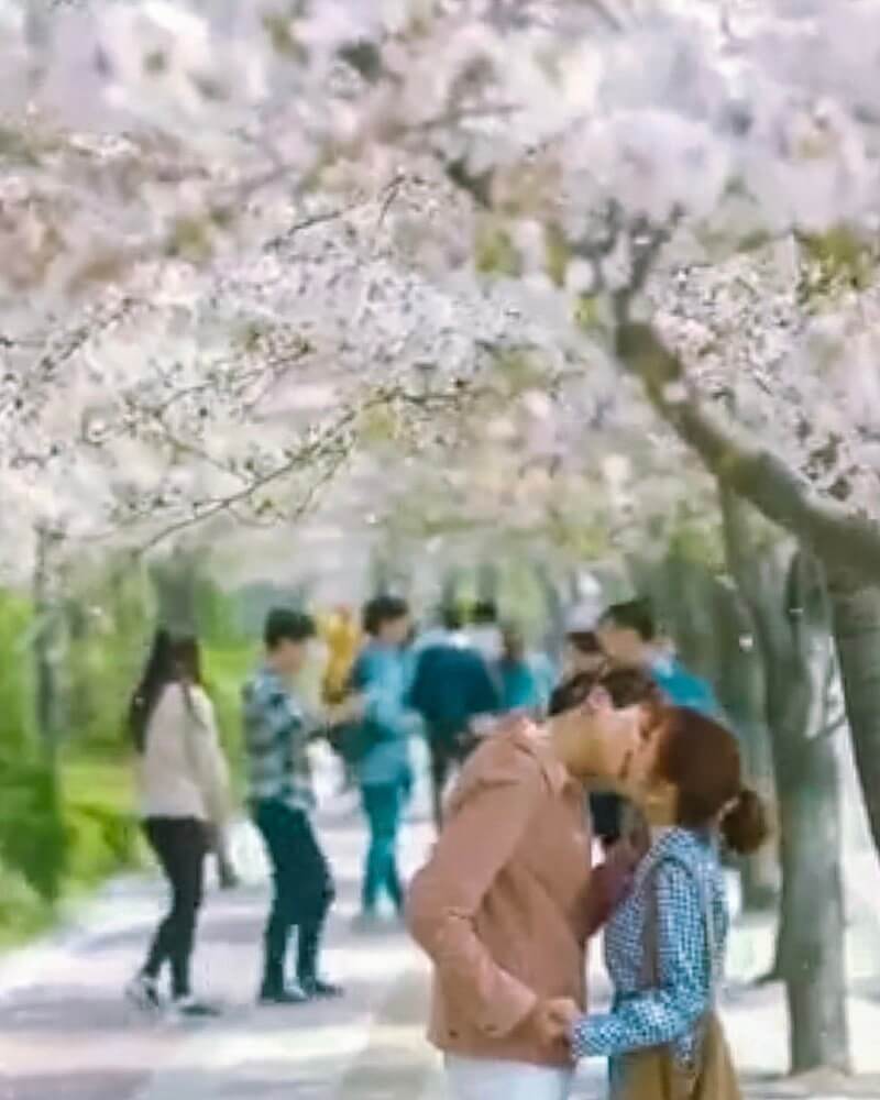 The Best Korean Drama You Can't Afford to Miss! Keep It Glam